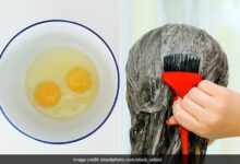 महंगे केराटिन-प्रोटीन ट्रीटमेंट छोड़िए! अंडे से बनाएं 5 होममेड हेयर मास्क, बाल होंगे मुलायम