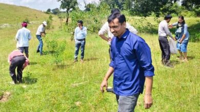 सेवा संकल्प अभियान: जोगी डोंगरी जलाशय में स्वच्छता अभियान से दिया जल संरक्षण का संदेश