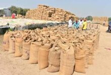 सुकमा में खुलेंगे 6 नए धान खरीदी केंद्र, किसानों को मिलेगी बड़ी सुविधा
