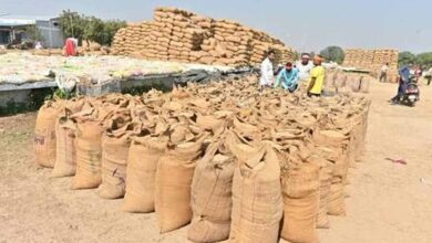 सुकमा में खुलेंगे 6 नए धान खरीदी केंद्र, किसानों को मिलेगी बड़ी सुविधा
