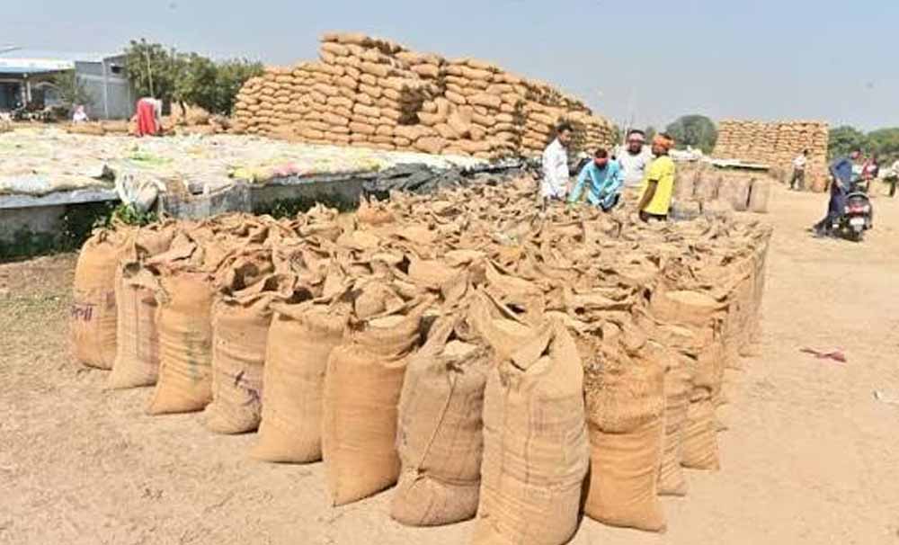 सुकमा में खुलेंगे 6 नए धान खरीदी केंद्र, किसानों को मिलेगी बड़ी सुविधा सुकमा में खुलेंगे 6 नए धान खरीदी केंद्र, किसानों को मिलेगी बड़ी सुविधा