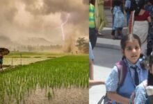 CG में भारी बारिश से स्कूल बंद, DEO ने जारी किया आदेश