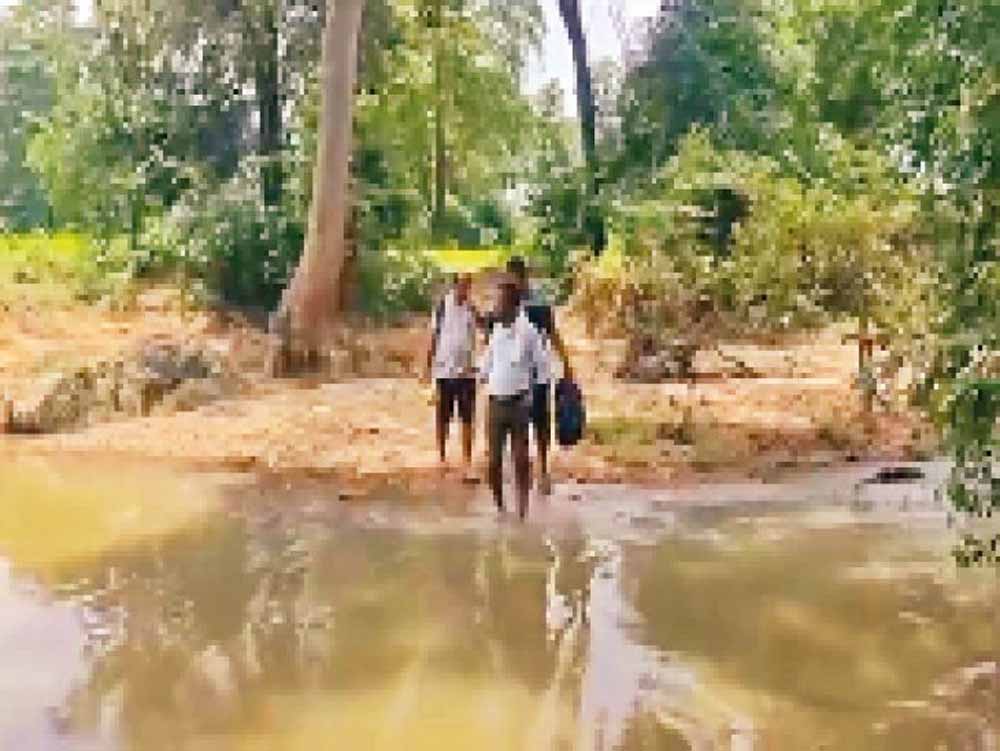 बीजापुर के दुर्गम इलाकों में पहुंची स्वास्थ्य टीम, 405 मरीजों का किया इलाज बीजापुर के दुर्गम इलाकों में पहुंची स्वास्थ्य टीम, 405 मरीजों का किया इलाज