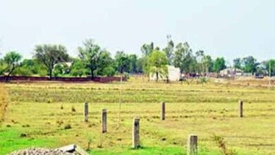 CG में कृषि जमीन पर नहीं बनेंगे बड़े मॉल, आवासीय क्षेत्रों में गोदाम-कबाड़खानों पर भी रोक