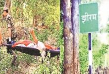 झीरम घाटी हत्याकांड: 10 दोषियों की फांसी के फैसले को हाईकोर्ट में चुनौती