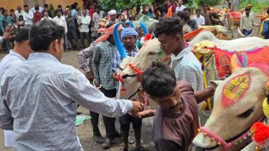CG में पोला पर्व की धूम, CM विष्णुदेव साय कार्यक्रमों में होंगे शामिल CG में पोला पर्व की धूम, CM विष्णुदेव साय कार्यक्रमों में होंगे शामिल