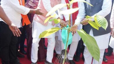 ‘एक पेड़ माँ के नाम’ अभियान से प्रकृति संरक्षण और मातृ सम्मान का संदेश