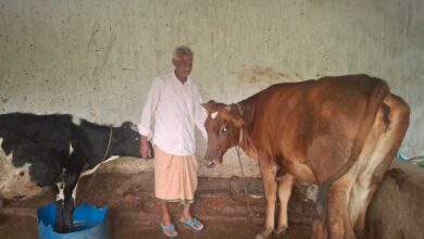 ’पीएम किसान सम्मान निधि की बचत से खरीदी पहली गाय, आज 10 गायों के साथ आत्मनिर्भर बने 75 वर्षीय परशुराम गुप्ता’