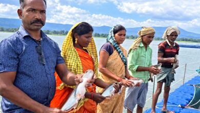 प्रधानमंत्री मत्स्य संपदा योजना से मल्हनिया जलाशय में बदली मछुआरों की जिंदगी