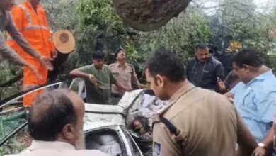 इंदौर में दर्दनाक हादसा: कार पर गिरा पेड़, डिप्टी कलेक्टर की मां की मौत; दो घायल