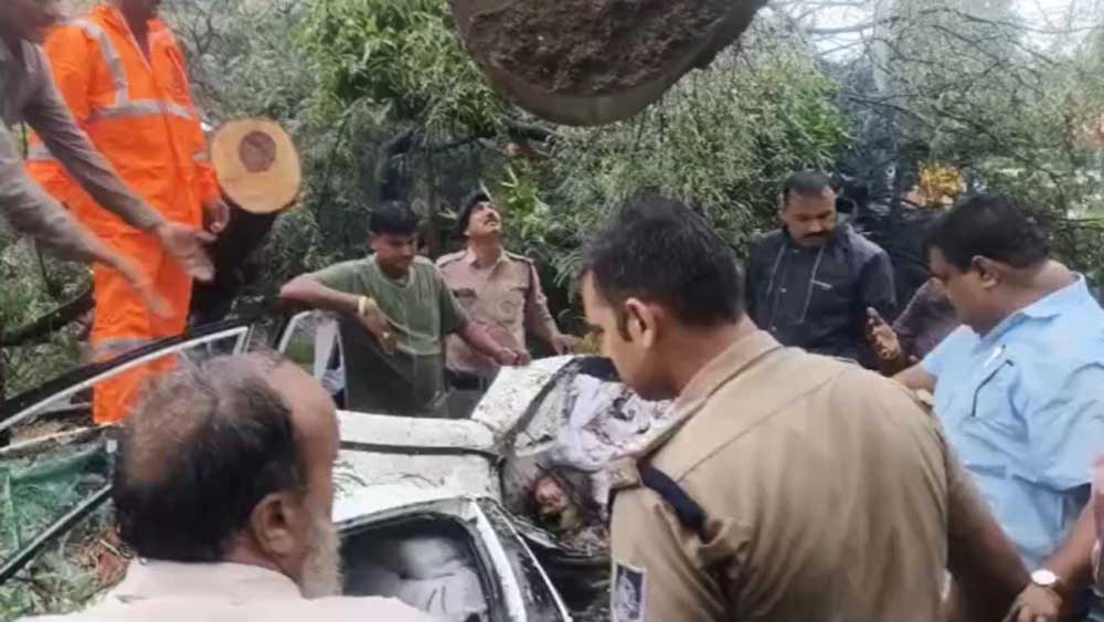 इंदौर में दर्दनाक हादसा: कार पर गिरा पेड़, डिप्टी कलेक्टर की मां की मौत; दो घायल