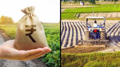 उद्यानिकी मूल्य श्रृंखलाओं को सशक्त बनाने के लिए नीति संवाद 21 सितम्बर को