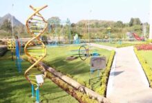 नरसिंहपुर डाइट में 30 लाख की लागत से बनेगा प्रदेश का दूसरा साइंस प्ले पार्क