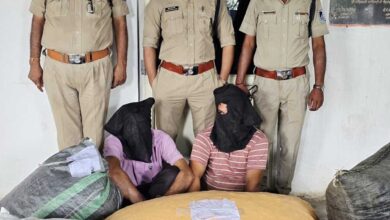 अवैध मादक पदार्थों के विरुद्ध मध्यप्रदेश पुलिस की विगत 5 दिनों में व्यापक कार्रवाई