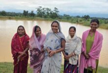 सेवा की कहानी: अमृत सरोवर बना महिलाओं की आजीविका का आधार, मछली पालन से आत्मनिर्भरता की ओर बढ़े कदम