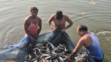 सेवा_ संकल्प_ अभियान मत्स्य पालन से संवरी गांधीराम की ज़िंदगी सेवा_ संकल्प_ अभियान मत्स्य पालन से संवरी गांधीराम की ज़िंदगी