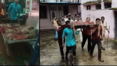 अशोकनगर में दर्दनाक हादसा: खेलते-खेलते कुएं में गिरे 4 मासूम, एक ही परिवार के सभी बच्चों की मौत