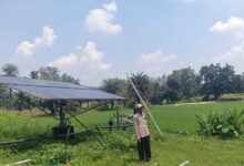 सौर सुजला योजना से बदली किसान चरण सिंह की खेती की तस्वीर