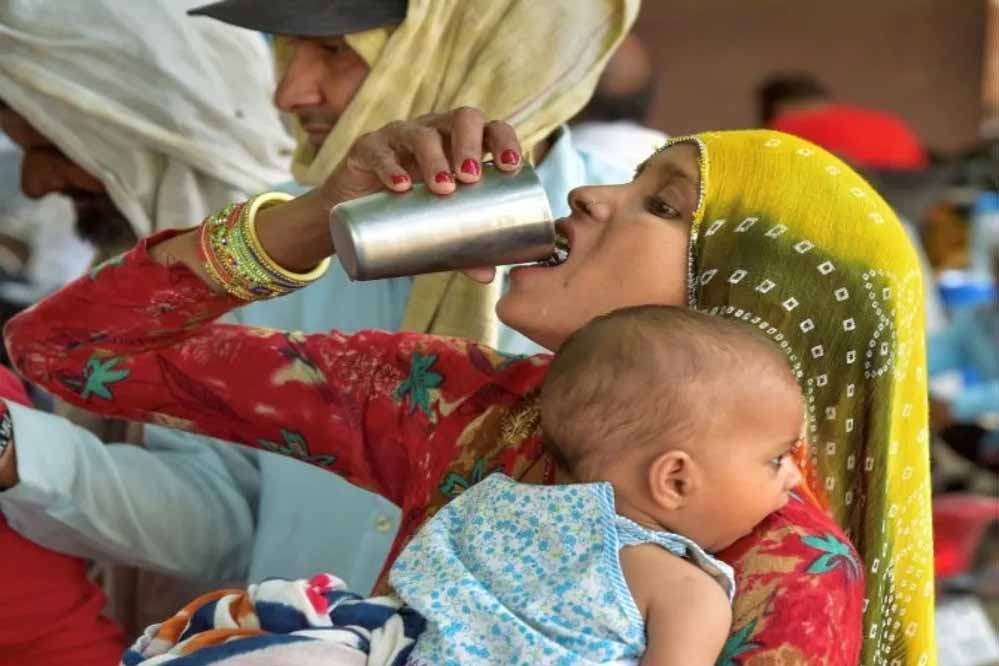 MP में ग्वालियर सबसे गर्म, तापमान 35.2°C; अगले 3 दिन बारिश के आसार MP में ग्वालियर सबसे गर्म, तापमान 35.2°C; अगले 3 दिन बारिश के आसार
