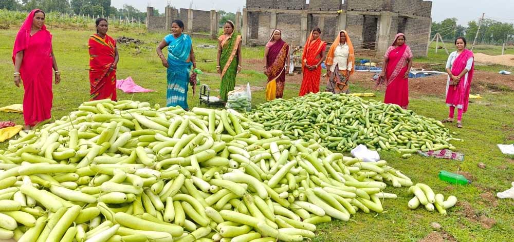 अतिक्रमण मुक्त 25 एकड़ बंजर भूमि पर उगी समृद्धि अतिक्रमण मुक्त 25 एकड़ बंजर भूमि पर उगी समृद्धि