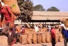 खेत से बाजार तक बदलेगा किसानों का सफर, ट्रेड शो में ब्रांडिंग और डिजिटल बिक्री का मंत्र