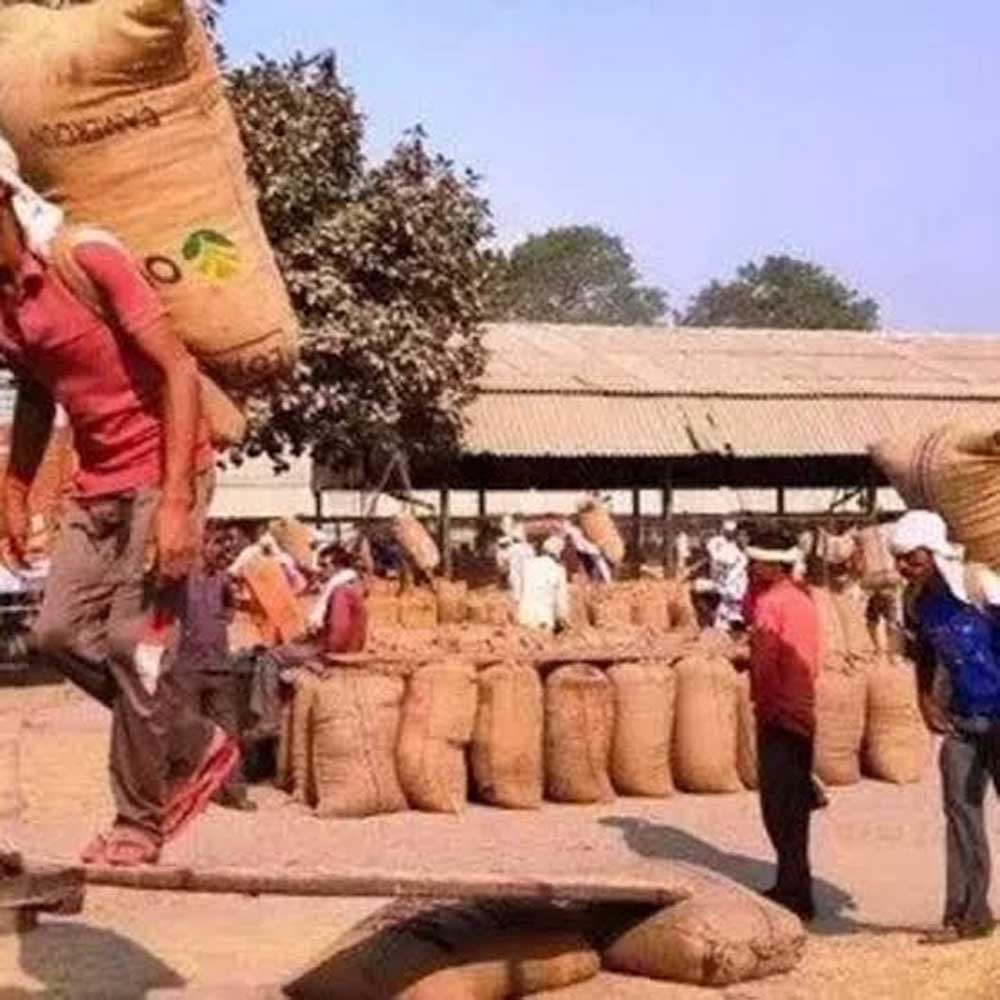 खेत से बाजार तक बदलेगा किसानों का सफर, ट्रेड शो में ब्रांडिंग और डिजिटल बिक्री का मंत्र खेत से बाजार तक बदलेगा किसानों का सफर, ट्रेड शो में ब्रांडिंग और डिजिटल बिक्री का मंत्र