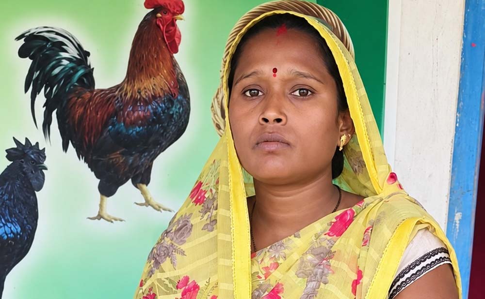 लखपति दीदी बनीं कमलेश यादव, मेहनत और स्वसहायता समूह के सहारे लिखी आत्मनिर्भरता की कहानी लखपति दीदी बनीं कमलेश यादव, मेहनत और स्वसहायता समूह के सहारे लिखी आत्मनिर्भरता की कहानी