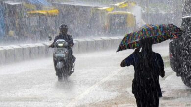 MP Weather: 23 सितंबर से फिर बदलेगा मौसम, 17 जिलों में बारिश का अलर्ट MP Weather: 23 सितंबर से फिर बदलेगा मौसम, 17 जिलों में बारिश का अलर्ट