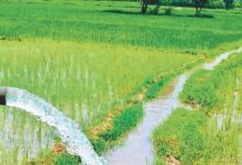 जल संसाधन विभाग द्वारा सिंचाई योजनाओं के 36 कार्यों के लिए 146.43 करोड़ रूपए स्वीकृत