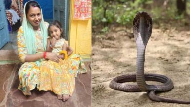 सांप के डसने से 4 साल की बच्ची की मौत, परिजनों ने अस्पताल पर लगाए गंभीर आरोप