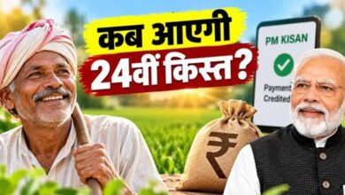 PM Kisan 24th Installment: किसानों के खाते में कब आएंगे ₹2,000? अगली किस्त से पहले जरूर करें ये 3 काम PM Kisan 24th Installment: किसानों के खाते में कब आएंगे ₹2,000? अगली किस्त से पहले जरूर करें ये 3 काम