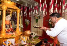 उप मुख्यमंत्री विजय शर्मा ने कवर्धा में मां महामाया और मां विंध्यवासिनी के दर्शन कर प्रदेश की सुख-समृद्धि और खुशहाली की कामना की