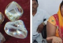पन्ना में चमकी गुड्डी की किस्मत, एक ही खदान से मिले 4 हीरे; कीमत करीब 10 लाख