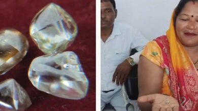 पन्ना में चमकी गुड्डी की किस्मत, एक ही खदान से मिले 4 हीरे; कीमत करीब 10 लाख