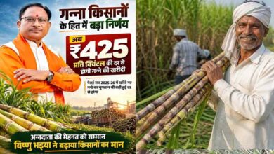 छत्तीसगढ़ में गन्ना मूल्य ₹425 प्रति क्विंटल, देश में सबसे ज्यादा दर देने का दावा