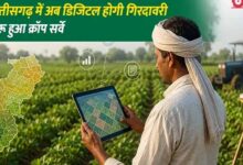 डिजिटल क्रॉप सर्वे के भुगतान संबंधी शिकायत पर कृषि विभाग ने की कार्यवाही