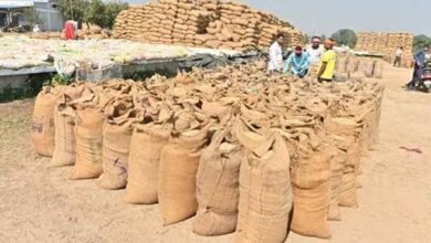 छत्तीसगढ़ में धान खरीदी की तैयारी तेज, किसानों को नहीं होगी परेशानी