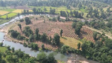 जल संरक्षण से बदलेगी ग्राम दर्री की तस्वीर, 24 लाख 30 हजार लीटर वर्षा जल सहेजने की अनूठी पहल