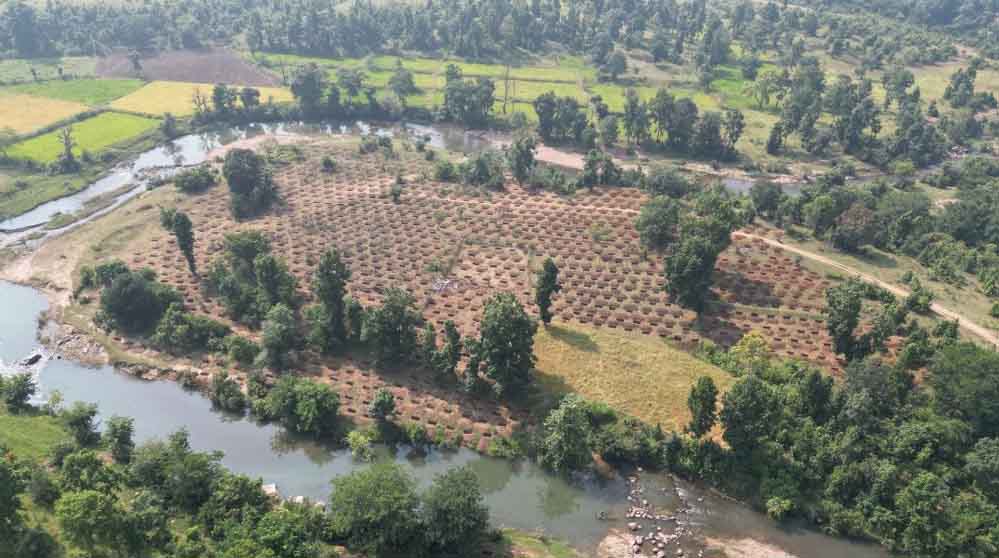 जल संरक्षण से बदलेगी ग्राम दर्री की तस्वीर, 24 लाख 30 हजार लीटर वर्षा जल सहेजने की अनूठी पहल जल संरक्षण से बदलेगी ग्राम दर्री की तस्वीर, 24 लाख 30 हजार लीटर वर्षा जल सहेजने की अनूठी पहल