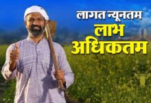प्राकृतिक खेती से बदलेगी गांवों की अर्थव्यवस्था, यूपी में बनेंगे प्राकृतिक खेती के जिले