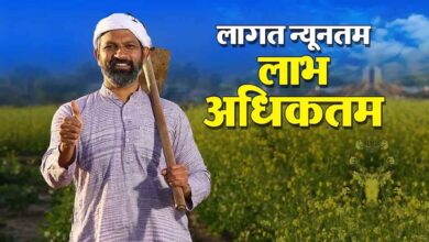 प्राकृतिक खेती से बदलेगी गांवों की अर्थव्यवस्था, यूपी में बनेंगे प्राकृतिक खेती के जिले