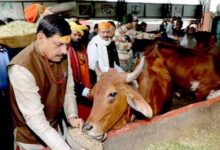 भोपाल में आदर्श गौ शाला स्थापित करने के कार्य को शीघ्र पूर्ण करें: मुख्यमंत्री डॉ. यादव