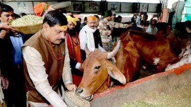भोपाल में आदर्श गौ शाला स्थापित करने के कार्य को शीघ्र पूर्ण करें: मुख्यमंत्री डॉ. यादव
