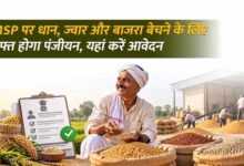 धान, ज्वार और बाजरा उपार्जन के लिए रिकॉर्ड पंजीयन, 10 अक्टूबर तक मिलेगा मौका
