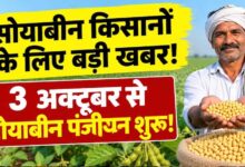 3 अक्टूबर से सोयाबीन पंजीयन शुरू, भावांतर योजना में फिर होगी खरीदी; ₹1 से वेरिफिकेशन
