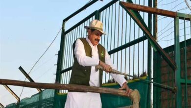 कान्हा टाइगर रिजर्व में 100 साल बाद लौटी जंगली भैंसों की रौनक, CM मोहन यादव ने 8 भैंसों को छोड़ा