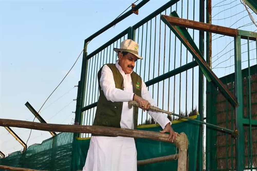 कान्हा टाइगर रिजर्व में 100 साल बाद लौटी जंगली भैंसों की रौनक, CM मोहन यादव ने 8 भैंसों को छोड़ा कान्हा टाइगर रिजर्व में 100 साल बाद लौटी जंगली भैंसों की रौनक, CM मोहन यादव ने 8 भैंसों को छोड़ा