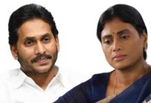 जगन रेड्डी ने भांजी की शादी के लिए महल देने से किया इनकार? भाई-बहन के रिश्ते में दरार की चर्चा