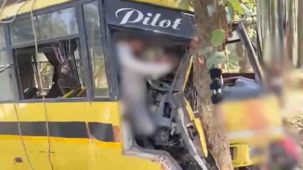 छत्तीसगढ़ में भीषण बस हादसा, पेड़ से टकराने पर 6  यात्रियों की मौत, 32 घायल