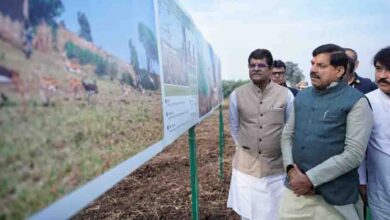 मुख्यमंत्री डॉ. यादव ने हेलीकॉप्टर से रंथभंवर में कृष्णमृग और नीलगाय रेस्क्यू अभियान के द्वितीय चरण का किया अवलोकन
